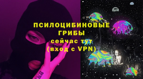 прущая мука Белокуриха